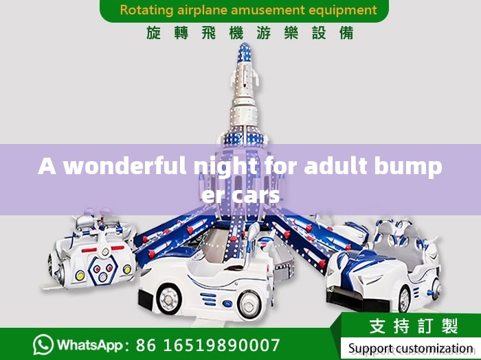 A wonderful night for adult bumper cars