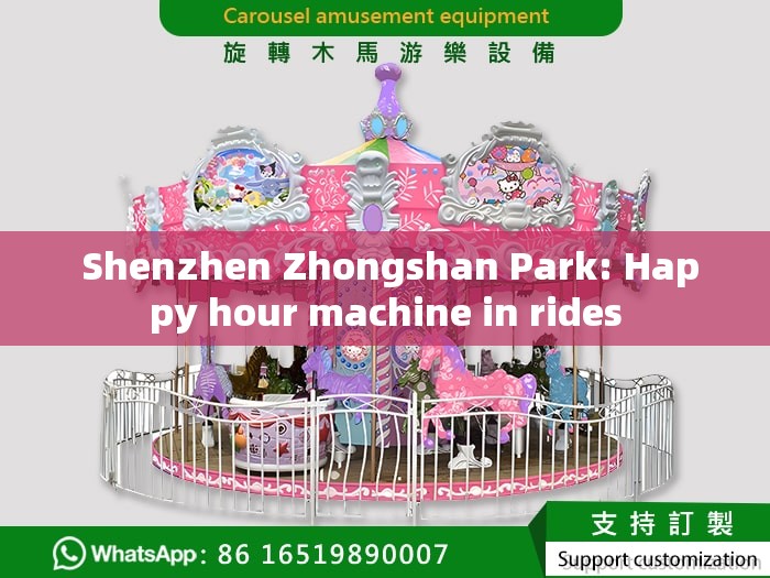  Shenzhen Zhongshan Park: Happy hour machine in rides